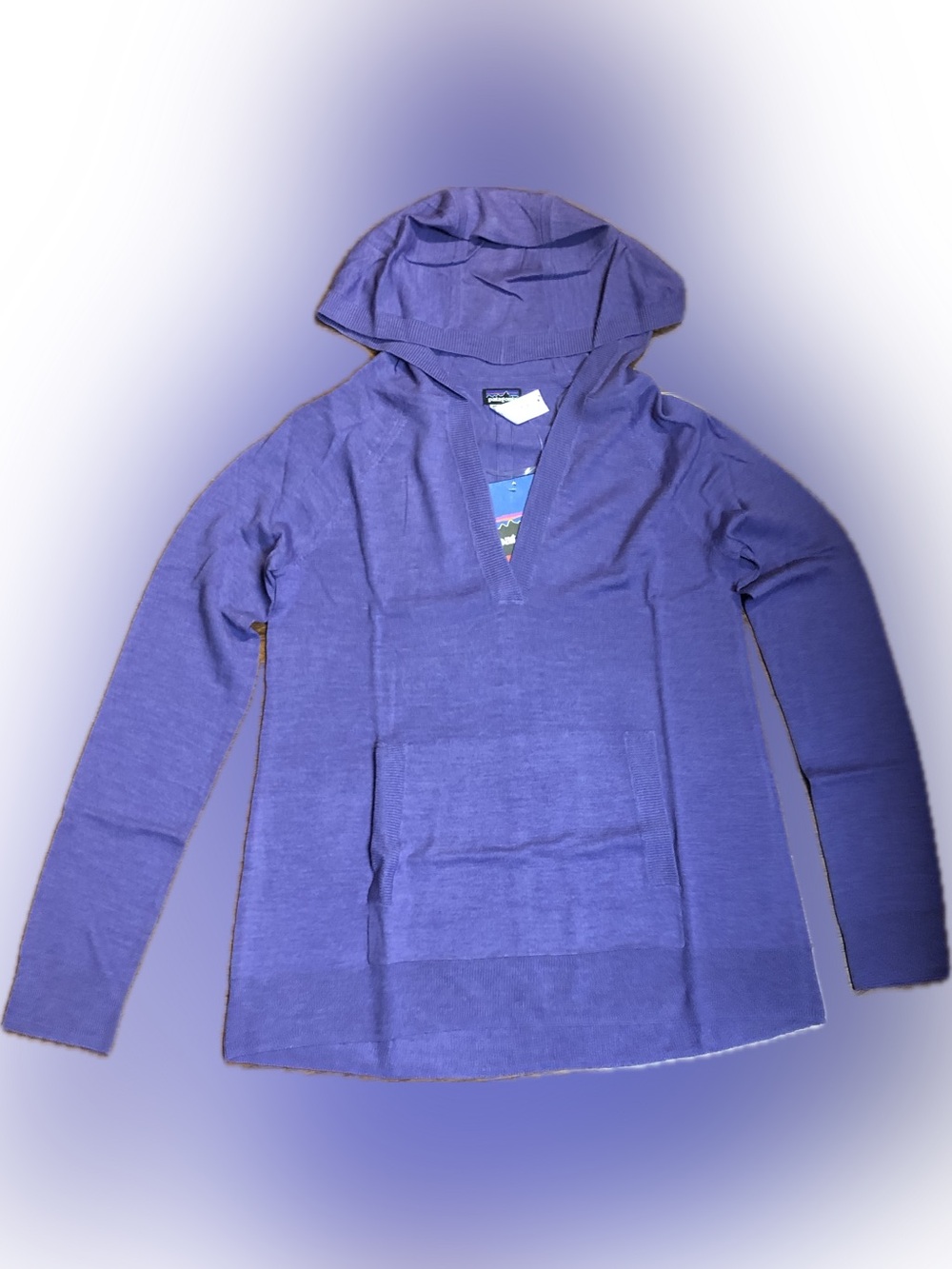 Patagonia Women's Purple Merino Hoody